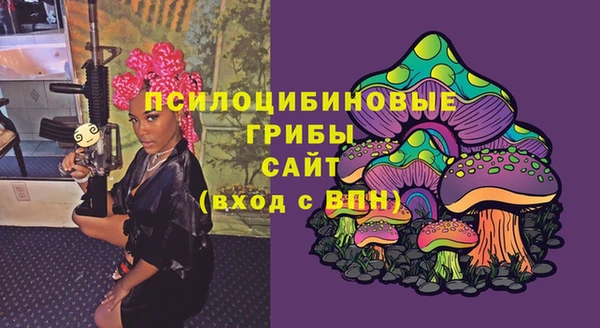 ПСИЛОЦИБИНОВЫЕ ГРИБЫ Нефтегорск