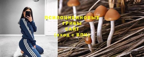 амф Нефтекумск