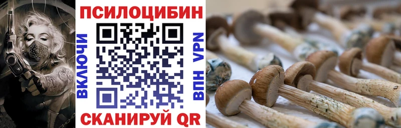 что такое наркотик  Ахтубинск  kraken   Галлюциногенные грибы Psilocybe 