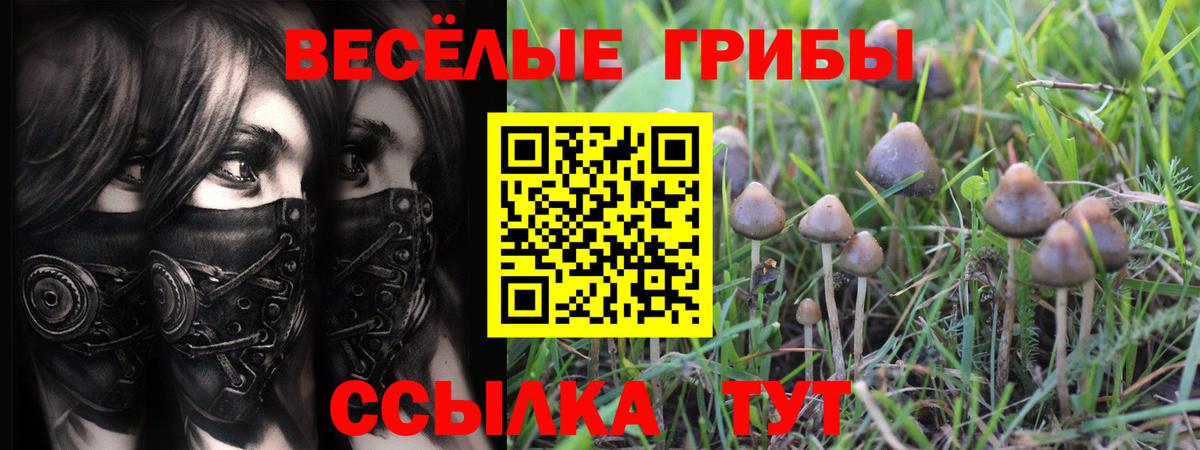 Псилоцибиновые грибы Cubensis  Вход с VPN  Псилоцибиновые грибы Psilocybe  Ахтубинск 