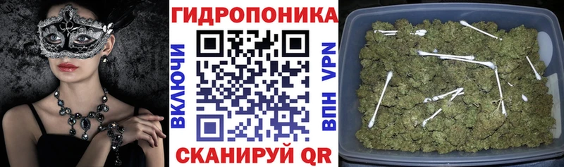 Бошки Шишки Bruce Banner где найти наркотики Ахтубинск