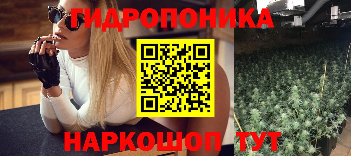 Ахтубинск  Марихуана Bruce Banner  Вход с VPN  Марихуана марихуана 
